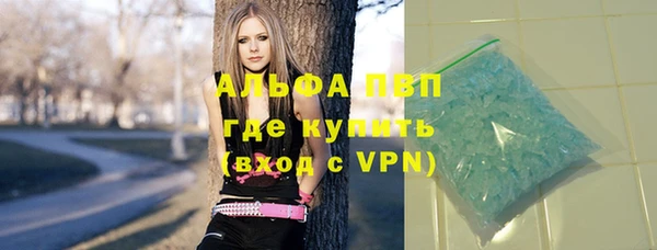 прущие грибы Козельск