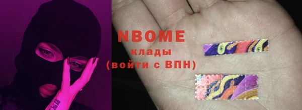 прущие грибы Козельск