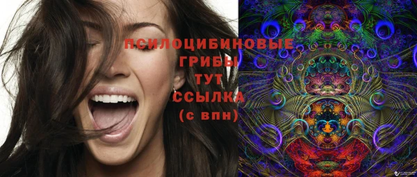 прущая мука Корсаков