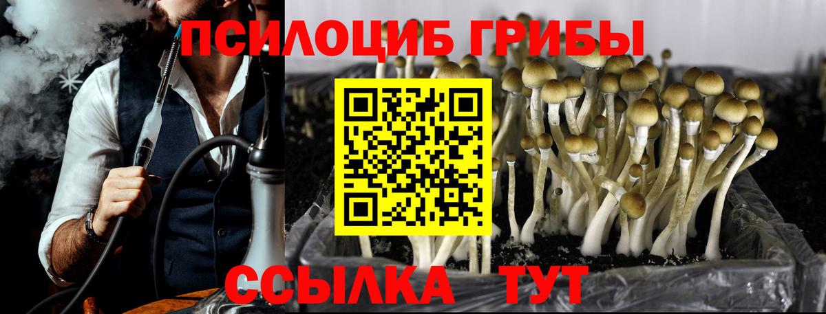 Галлюциногенные грибы Psilocybine cubensis Людиново