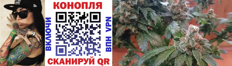 ОМГ ОМГ зеркало Людиново Канабис White Widow